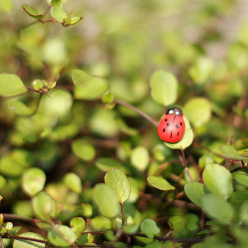 100 Buah Kupu-kupu Mini Berper - Art Craft Ladybug ulasan dan harga