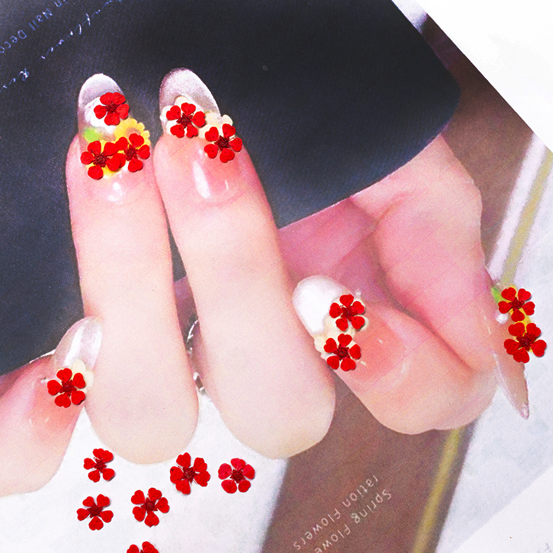96 Buah Bunga Mini 1.5Cm Alami - Art And Craft Nature ulasan dan harga