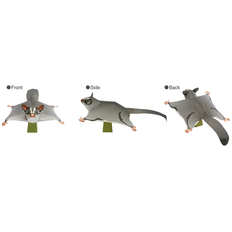 Sugar Glider Mouse terbang bua - Art Craft With Cardboard ulasan dan harga